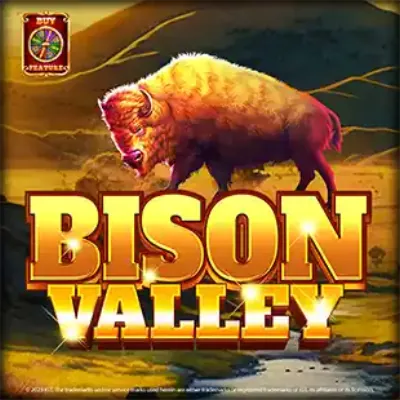 Bison Valley cover art